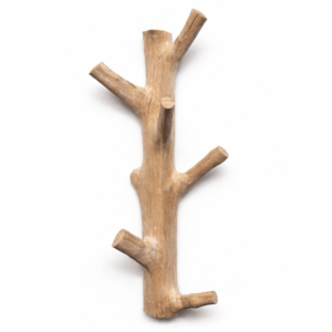 Massieve houten wandkapstok van natuurlijke boomstam met meerdere stevige takhaken