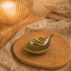 Olijfgroen keramisch schaaltje in bladvorm op houten plateau in warme sfeersetting met lamp en decoratieve takjes.